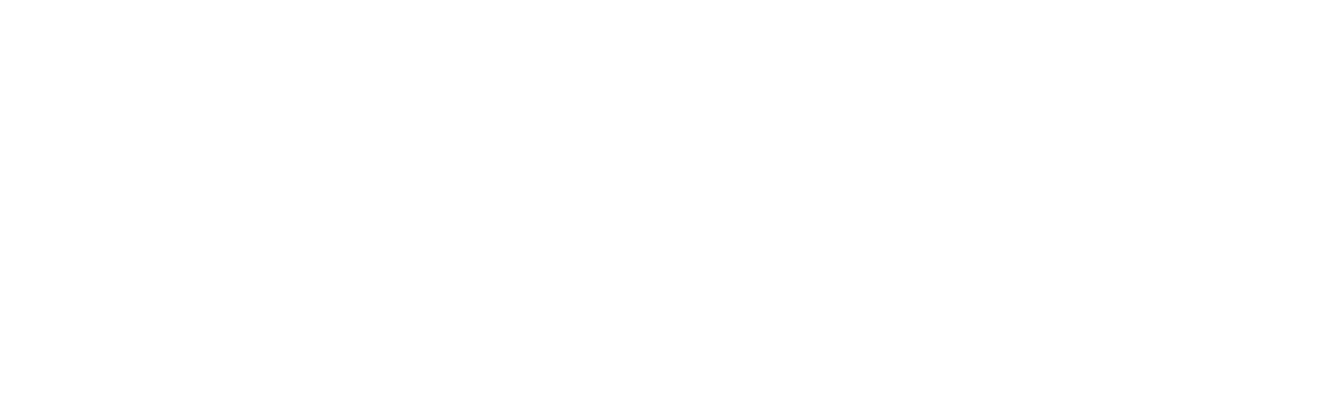 Human Synergistics Logo